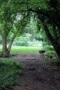 Daniels' Grove - Altar Fire